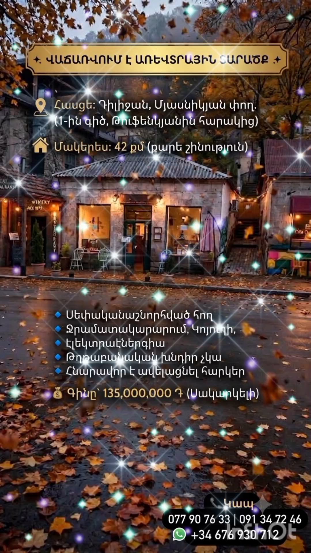 Առևտրային տարածք Դիլիջանում video 1