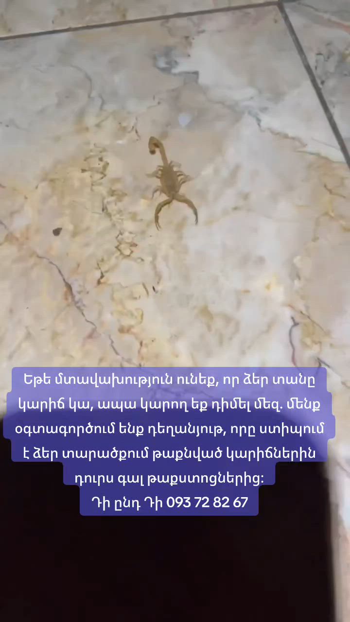 Միջատների դեմ պայքար, դեռատիզացիա դեզինսեկցիա